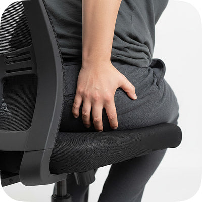 Hips / Tailbone